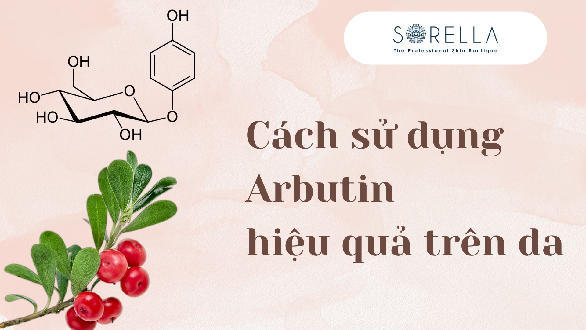 Arbutin là gì?