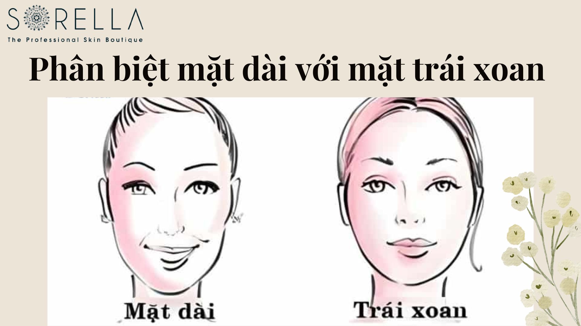 Cách để phân biệt khuôn mặt dài với khuôn mặt trái xoan
