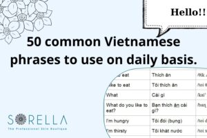 common vietnamese phraseshttps://sorellafaceliftstudio.com/?p=10243&preview=true