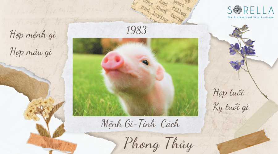 2 Người Sinh Năm 1983 Mệnh Gì ?