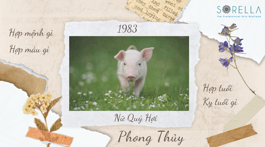 1 Nữ tuổi 1983 mệnh gì?
