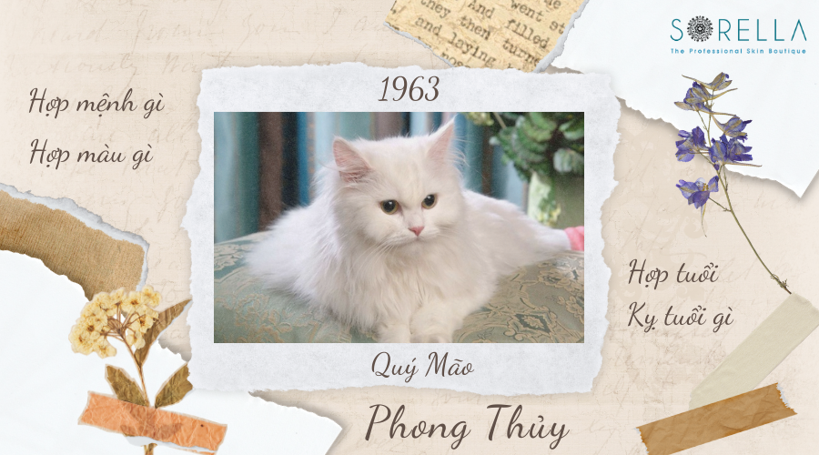 1. Tổng Quan Về Tuổi Quý Mão 1963 Nam Mạng Năm 2023 Quý Mão