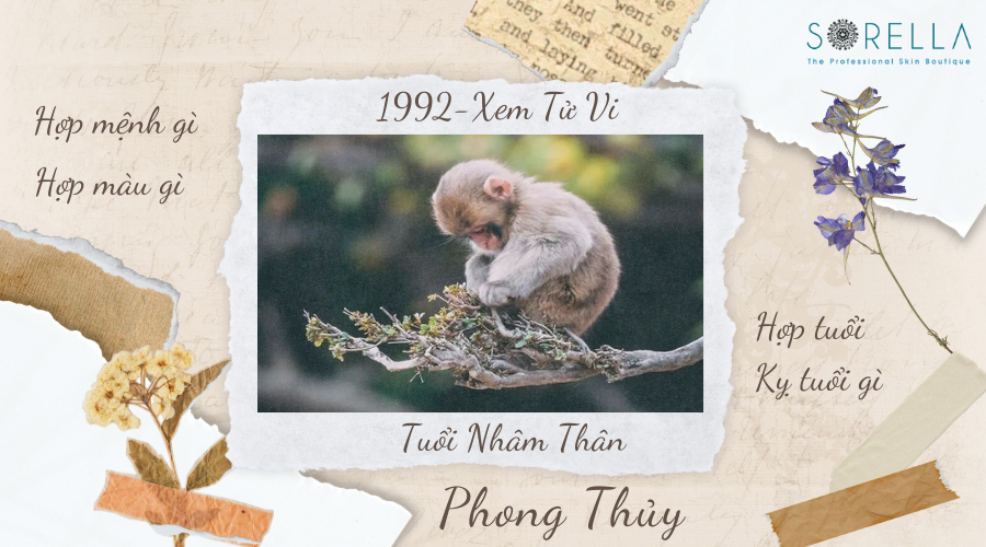 1. Tổng Quan Về Tuổi Nhâm Thân 1992 Nam Mạng Năm 2022 Nhâm Dần