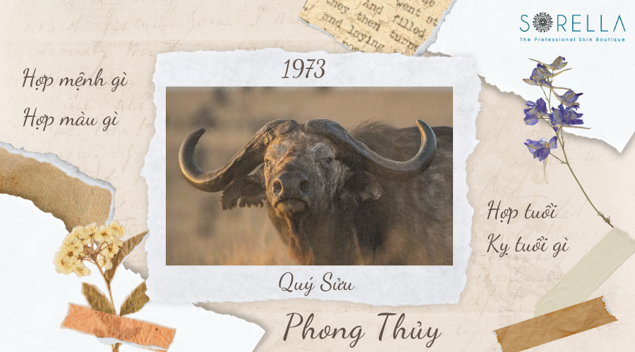 1. Người Sinh Năm 1973 Tuổi Con Gì ?
