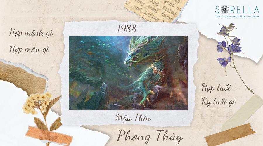 1 Tổng Quan Về Tuổi Mậu Thìn 1988