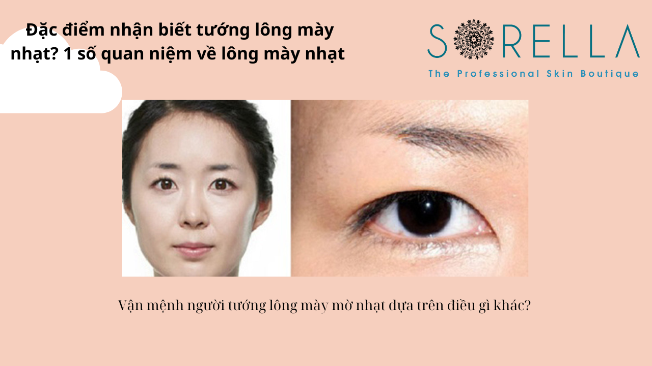 Đặc điiểm nhận biết tướng lông mày nhạt?