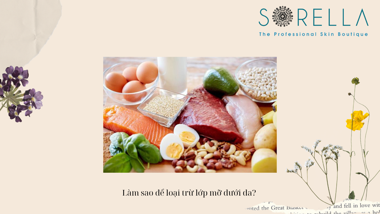 Lớp mỡ dưới da có vai trò như thế nào? 