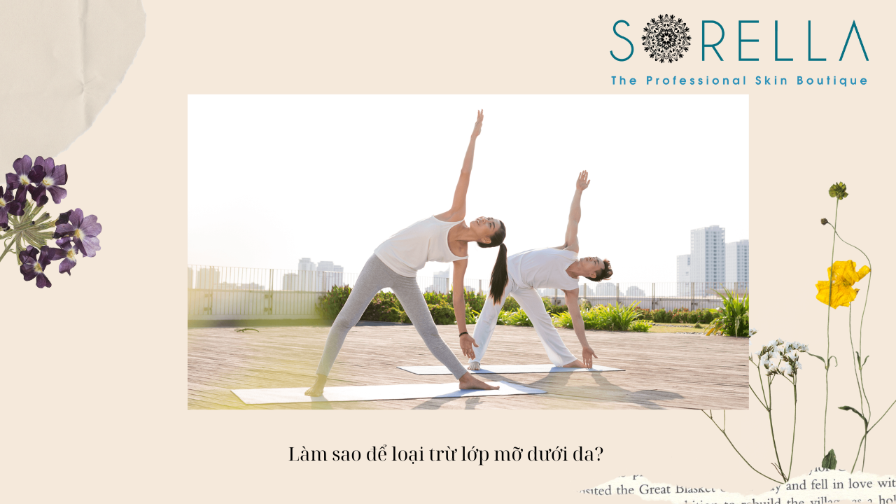 Lớp mỡ dưới da có vai trò như thế nào? 