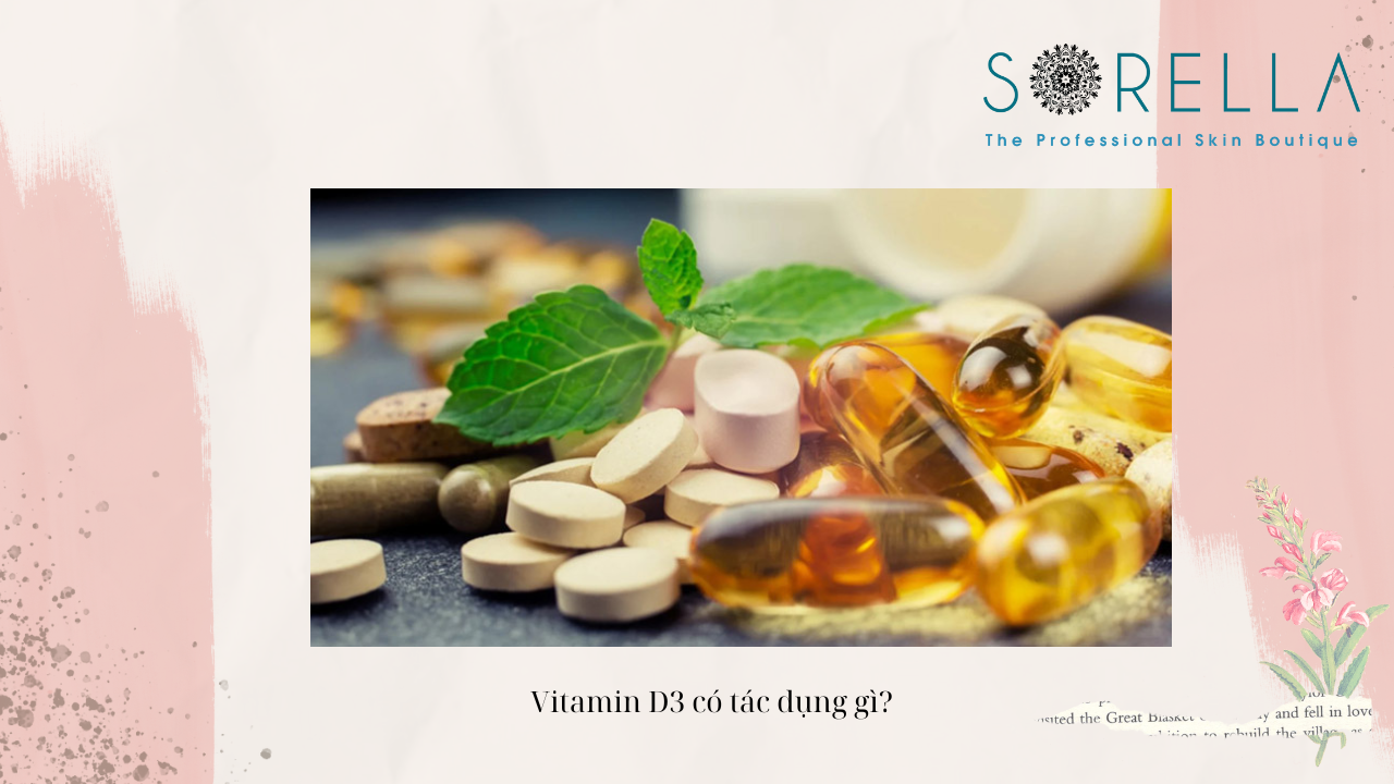 Vitamin D3 có tác dụng gì?